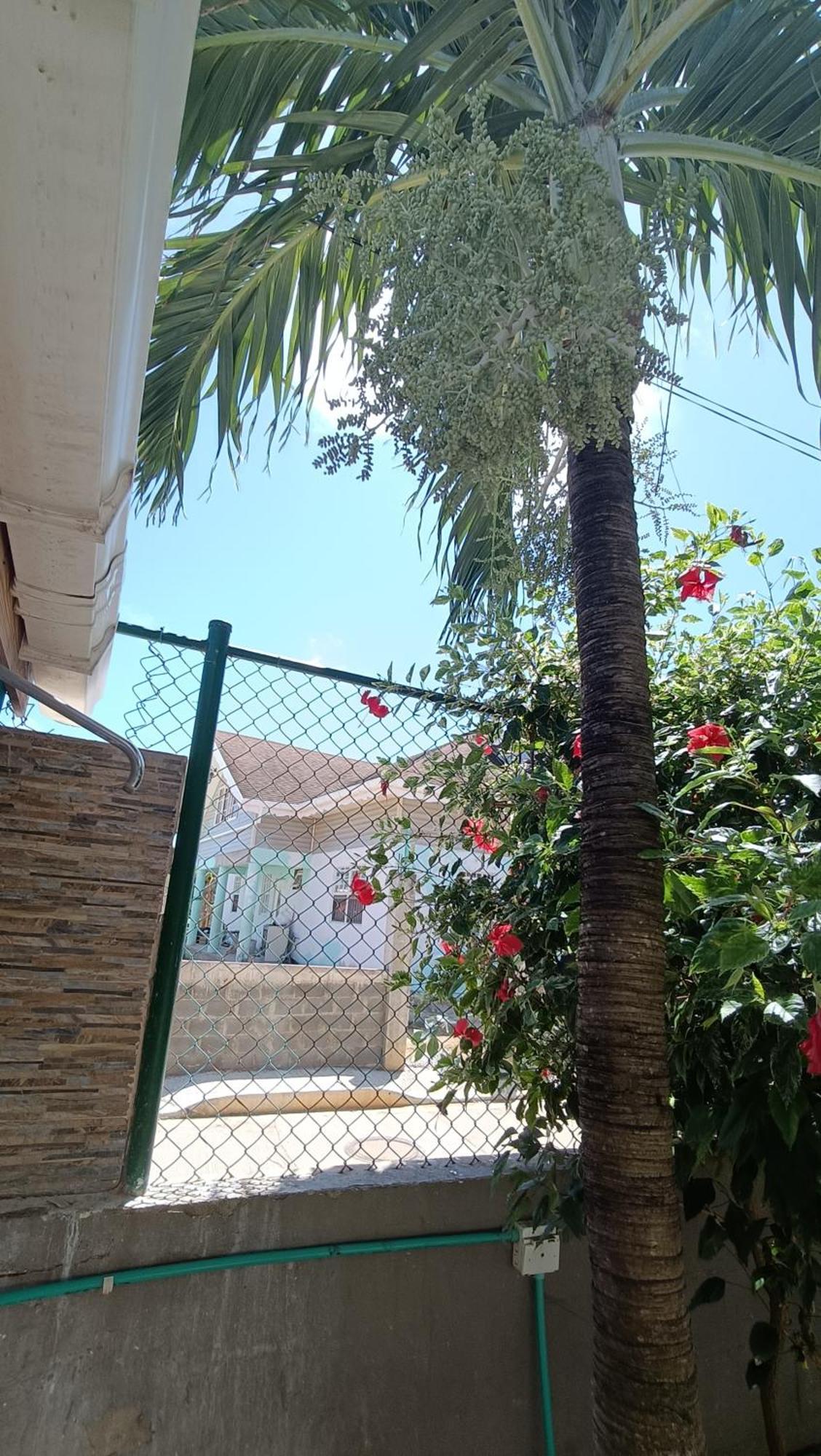 Jackuri Casa 2*